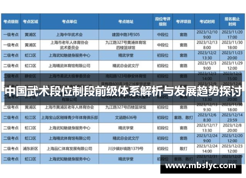 中国武术段位制段前级体系解析与发展趋势探讨