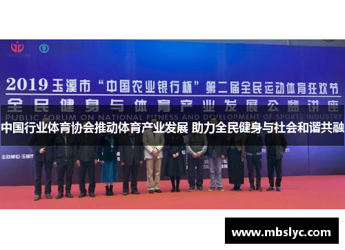 中国行业体育协会推动体育产业发展 助力全民健身与社会和谐共融