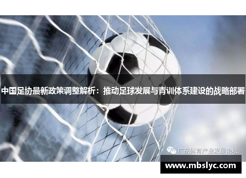 中国足协最新政策调整解析：推动足球发展与青训体系建设的战略部署