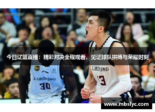 今日辽篮直播：精彩对决全程观看，见证球队拼搏与荣耀时刻
