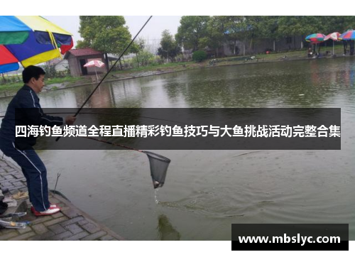 四海钓鱼频道全程直播精彩钓鱼技巧与大鱼挑战活动完整合集