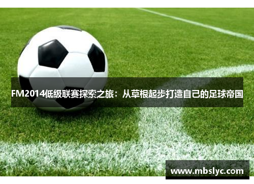 FM2014低级联赛探索之旅：从草根起步打造自己的足球帝国