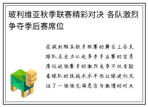 玻利维亚秋季联赛精彩对决 各队激烈争夺季后赛席位