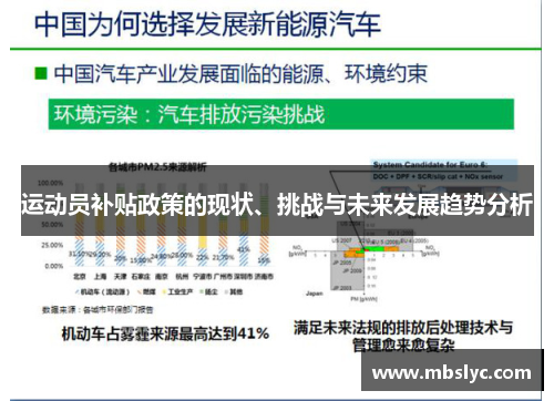运动员补贴政策的现状、挑战与未来发展趋势分析